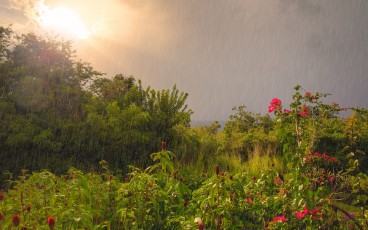 Guadeloupe, France - Rainy day