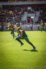 IMG_2320-X2